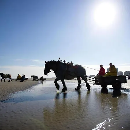 With Location In Nieuwpoort